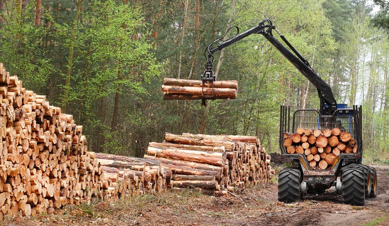 Luke: Venäjä on hyväksynyt uuden metsäsektorin kehittämisstrategian