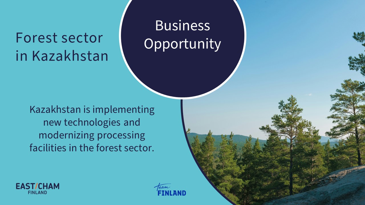 Green horizons: Forest sector in Kazakhstan - EastCham Finland ry